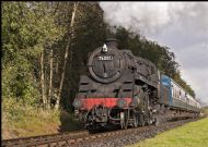 Bramch line
